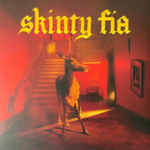 Fontaines D.C. : Skinty Fia
